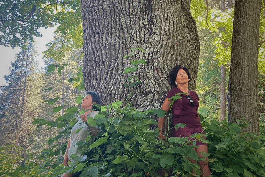 Vacnze Yoga & Natura in montagna
