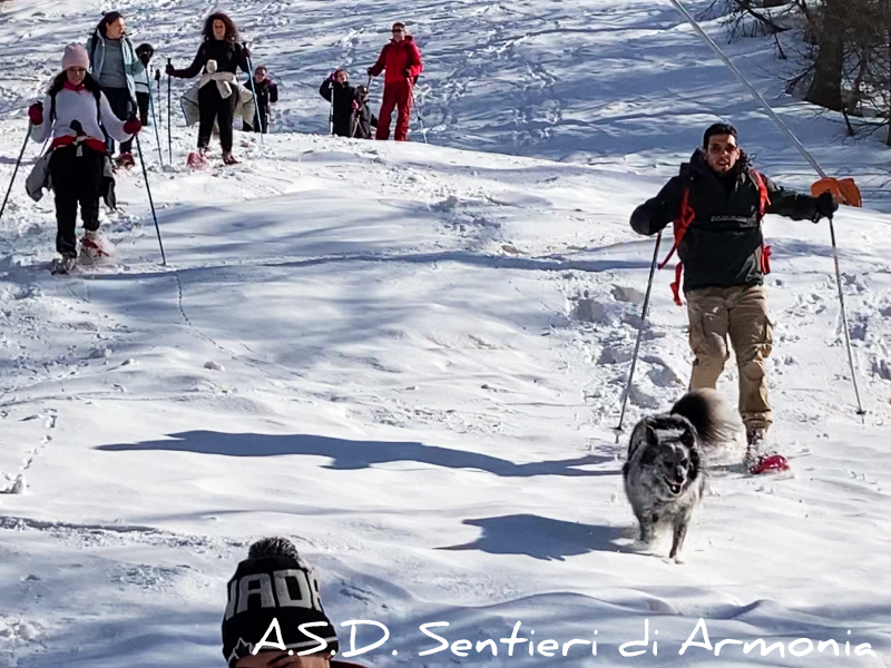 Ciaspole_valsusa_inverno.png