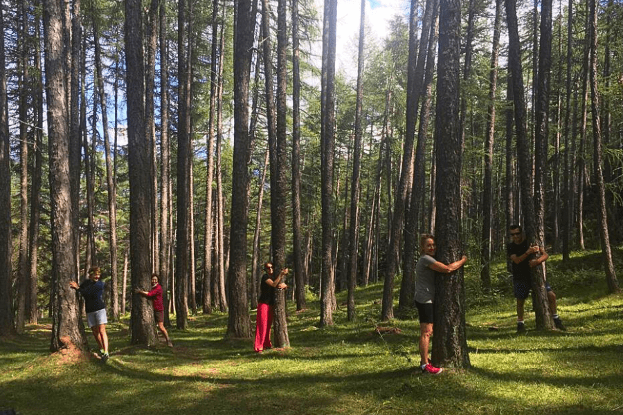Praticare Forest Bathing in montagna
