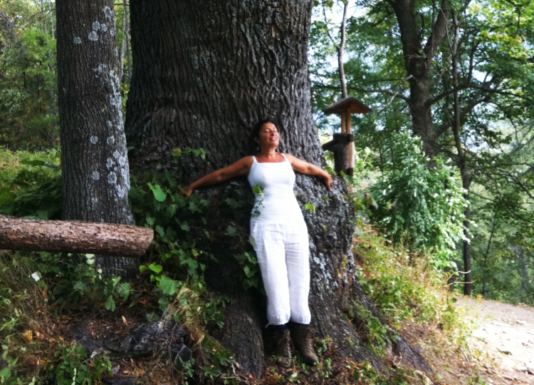 Praticare Forest Bathing in montagna