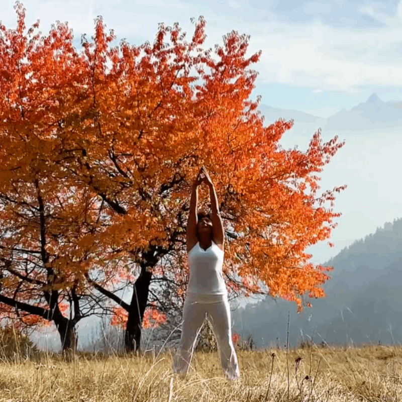 fiamma_yoga.png