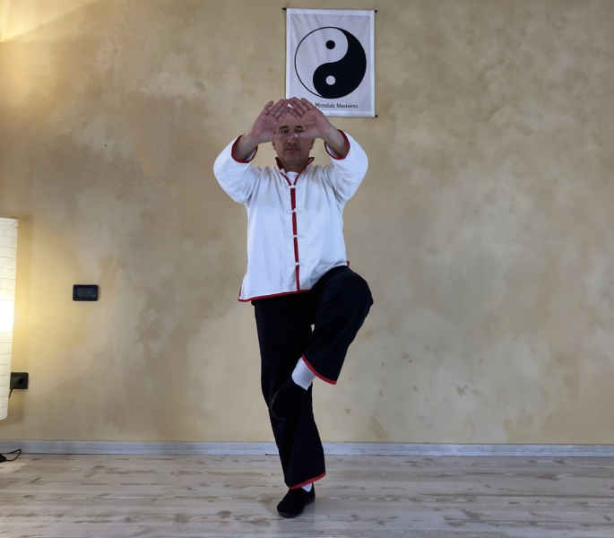 corsi_Tai_Chi_Valle_di_susa_con_Mirko_Siclari