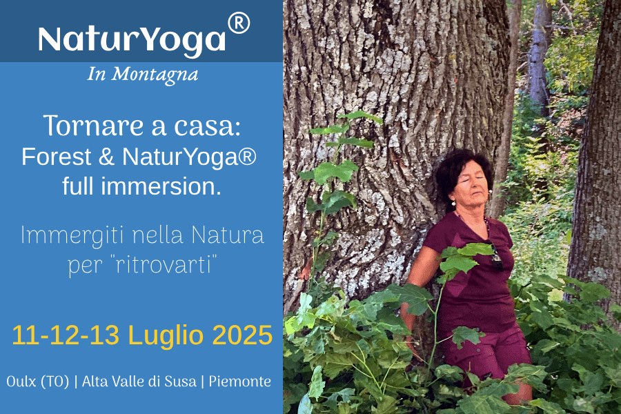 NATURYOGA_forestbathing - weekend in montagna