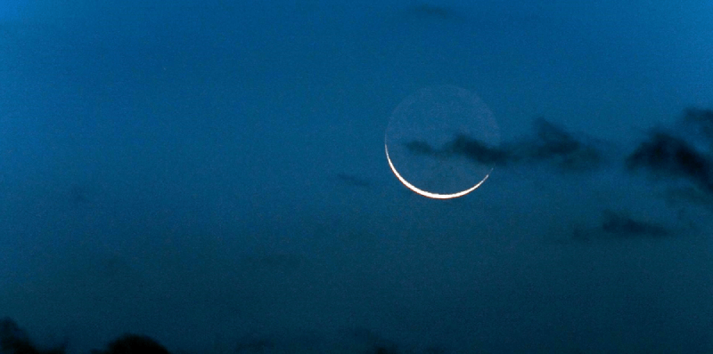 lunanera.png