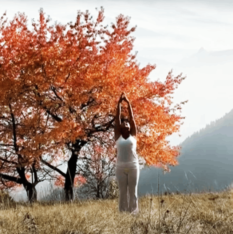 preparati_allautunnoconlo_yoga.png
