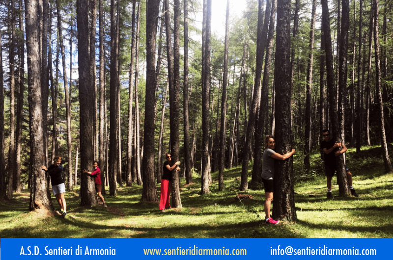 vacanze_yoga_in_montagna.png