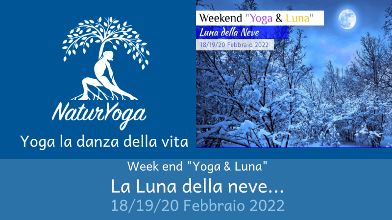 weekend_yoga__Luna.png